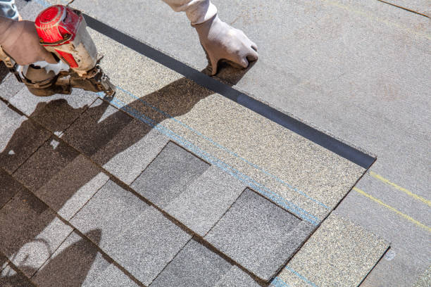 Best Metal Roofing Contractor  in Tamaqua, PA