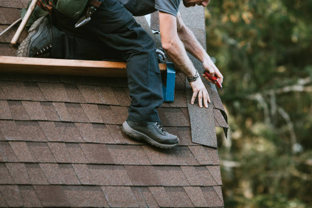 Best Storm Damage Roof Repair  in Tamaqua, PA